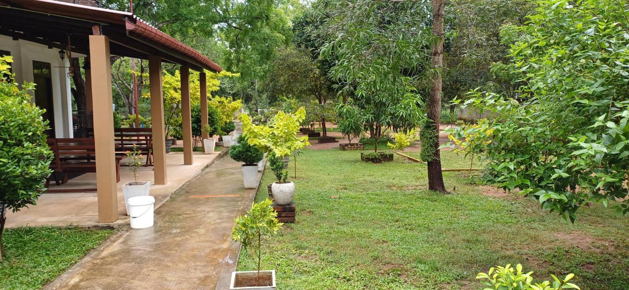 Forest Edge Villa Anuradhapura Ngoại thất bức ảnh
